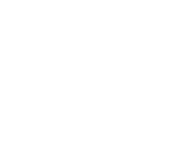 Ellepi-logo
